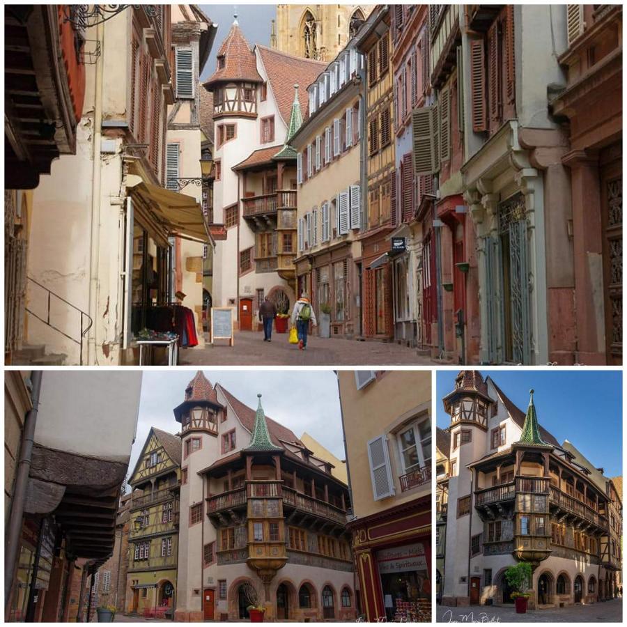 Gite La Houblonniere Standing Et Confort A Colmar Exterior photo